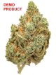 [SPAIN] Amnesia (Outdoor)