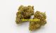 [SPAIN] Lemon Kush (Outdoor)