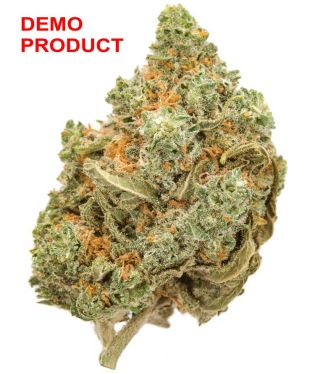 [SPAIN] Amnesia (Outdoor)